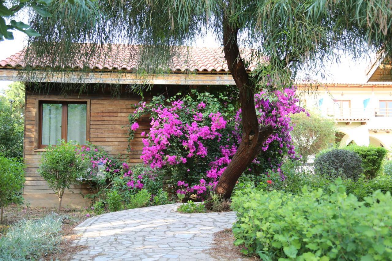 Dar Zitouna Sousse-Tunisie エクステリア 写真